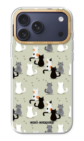 Katzen