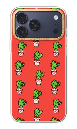 Mini cactus