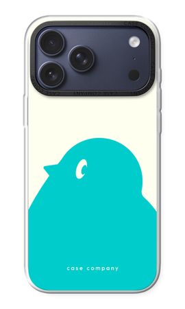 BIG Robin 1