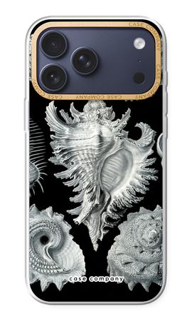 Haeckel Prosobranchia