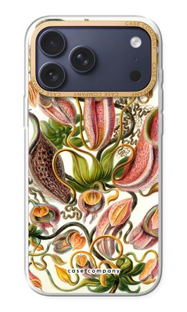 Haeckel Nepenthaceae