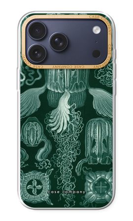 Haeckel Cubomedusae