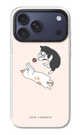 Spielende Katzen