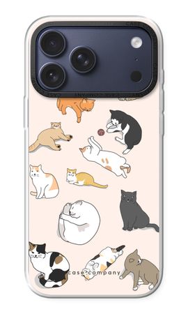Katzen