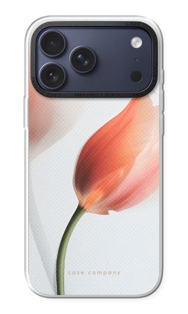 Tulip