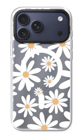 Encore des marguerites