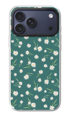 Kleine Gänseblümchen