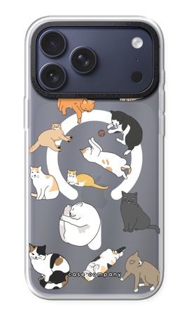 Katzen