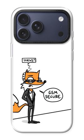 GSM secure