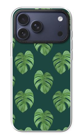 Monstera leaves