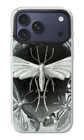 Haeckel Tineida