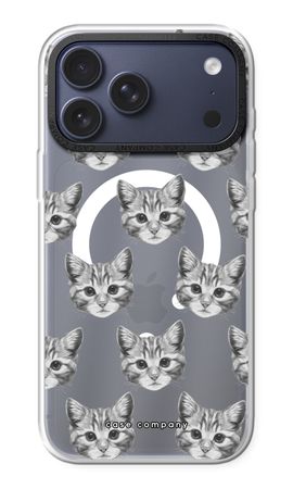 Kitten