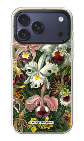 Haeckel Orchidae