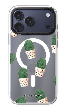 Cactus rosa