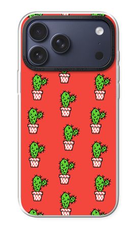Mini cactus