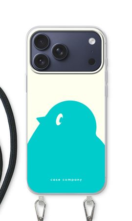 BIG Robin 1