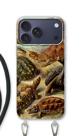 Haeckel Chelonia