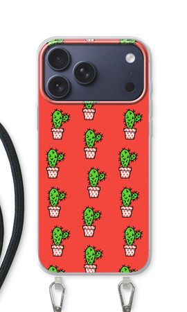 Mini cactus