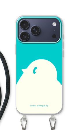 BIG Robin 2