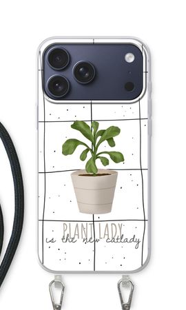 Houseplant on windowpane