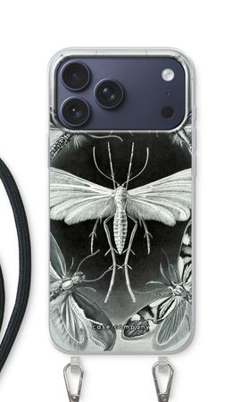 Haeckel Tineida