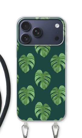 Monstera leaves