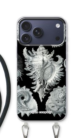 Haeckel Prosobranchia
