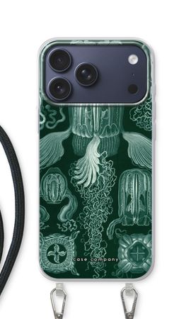 Haeckel Cubomedusae