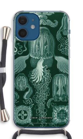 Haeckel Cubomedusae