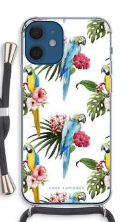Colourful parrots