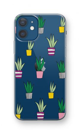 Sanseveria