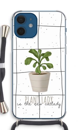 Houseplant on windowpane