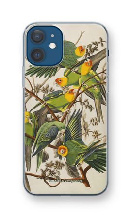 Carolina Parrot