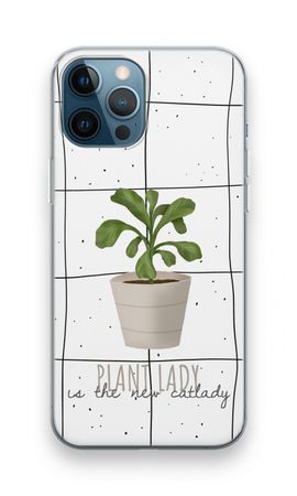 Houseplant on windowpane