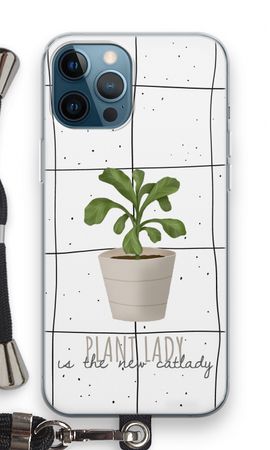 Houseplant on windowpane