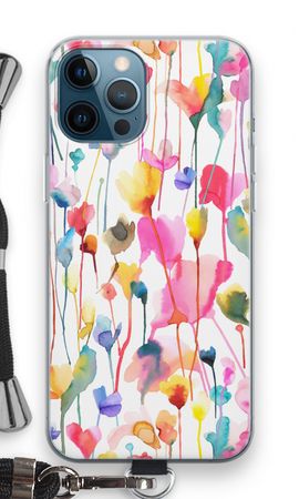 Wild Colorful Flowers