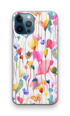 Wild Colorful Flowers