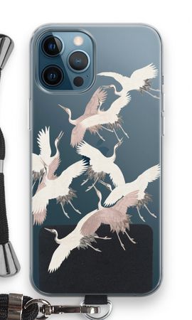 Japanese Crane Birds