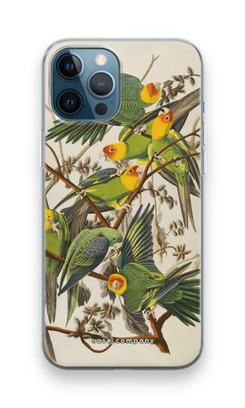 Carolina Parrot