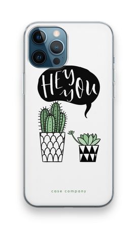 Hey you cactus