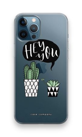 Hey you cactus