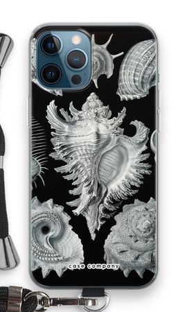 Haeckel Prosobranchia