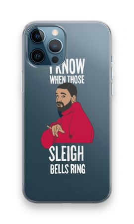 Sleigh Bells Ring