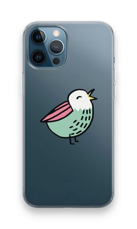 Pajarito