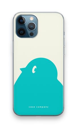 BIG Robin 1