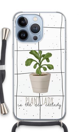 Houseplant on windowpane