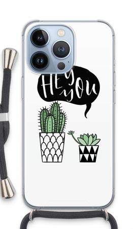 Hey you cactus
