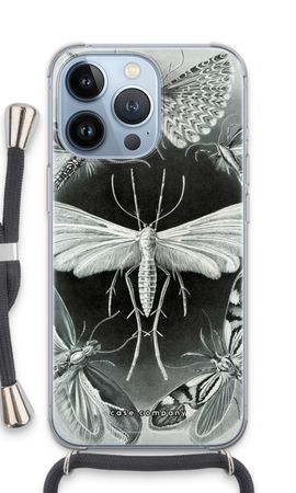 Haeckel Tineida
