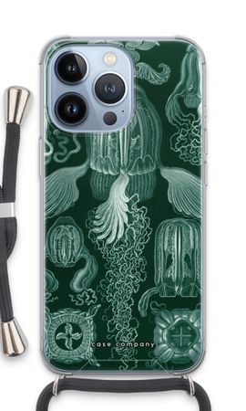 Haeckel Cubomedusae