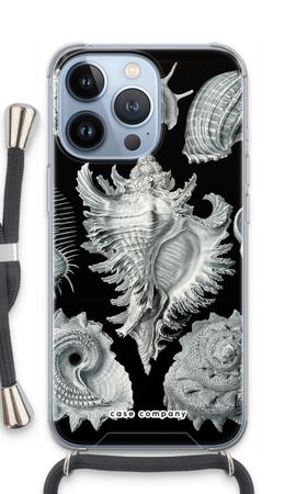Haeckel Prosobranchia